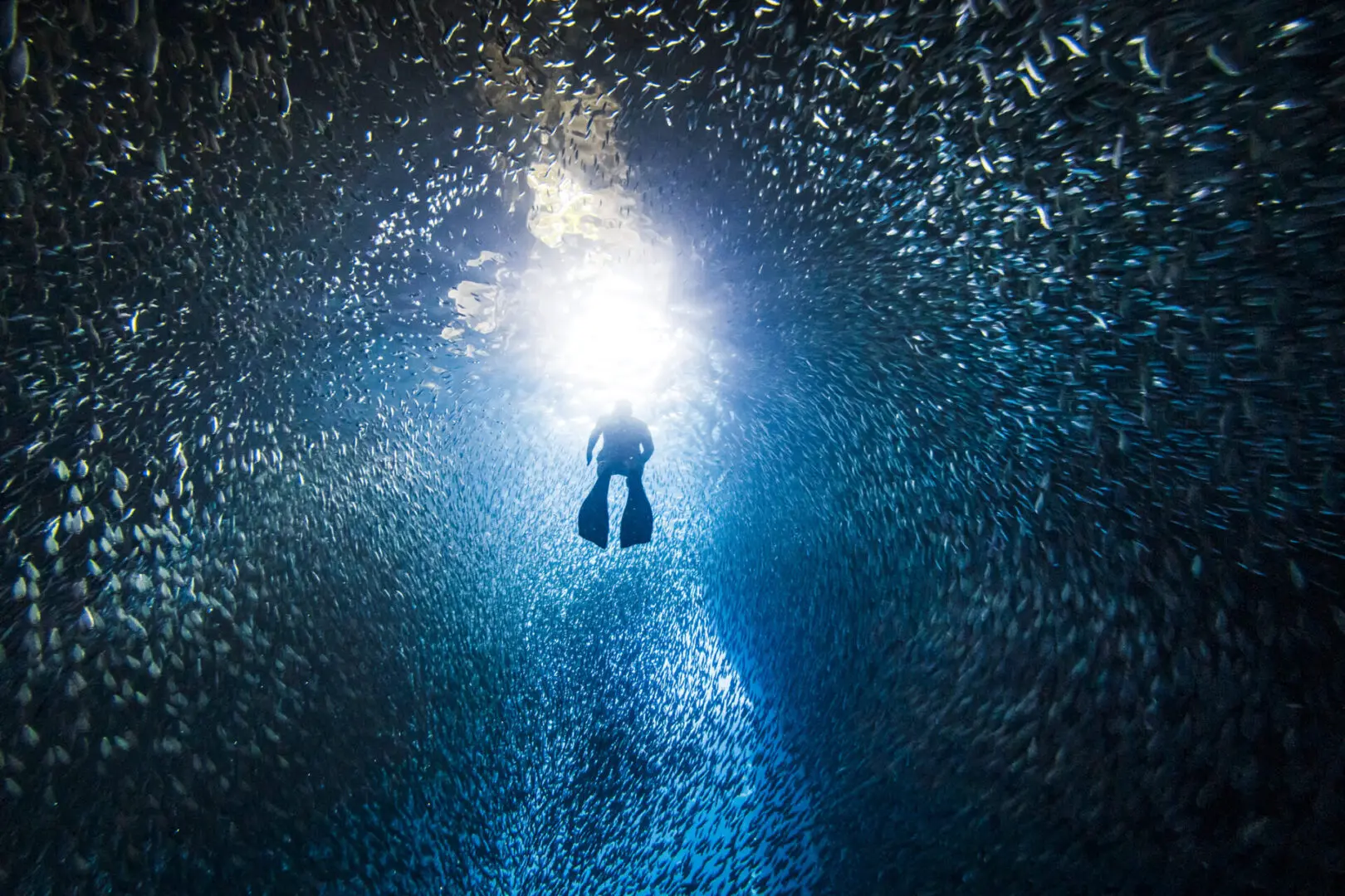 Diver surrounded by fish in underwater cave.