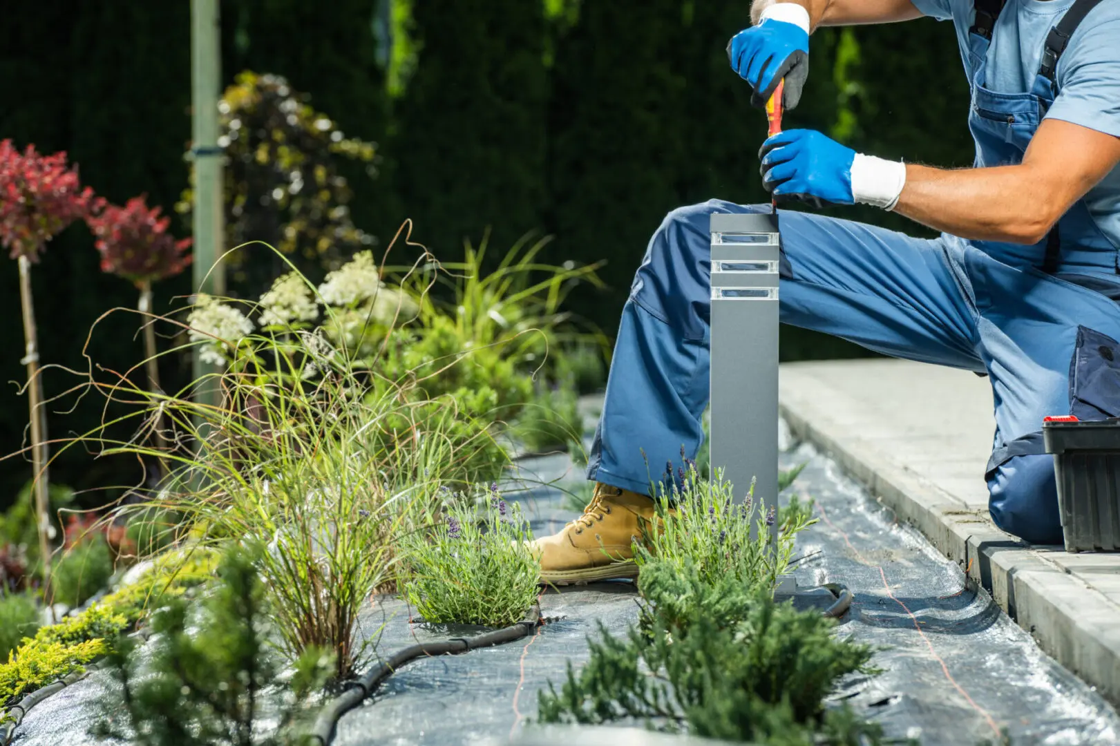 Gardener installing outdoor light in garden.