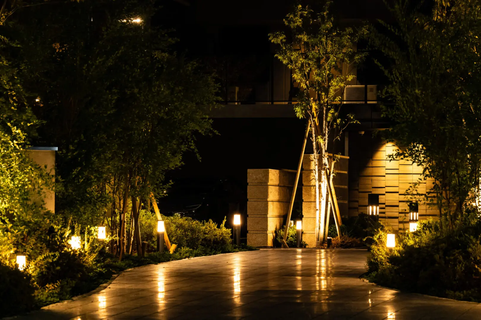 Illuminated garden pathway at night.