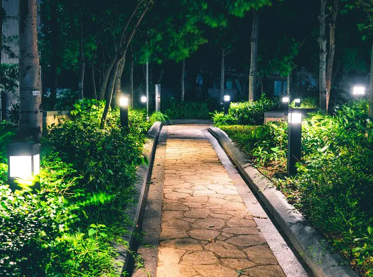 Pathway illuminated by garden lights at night.