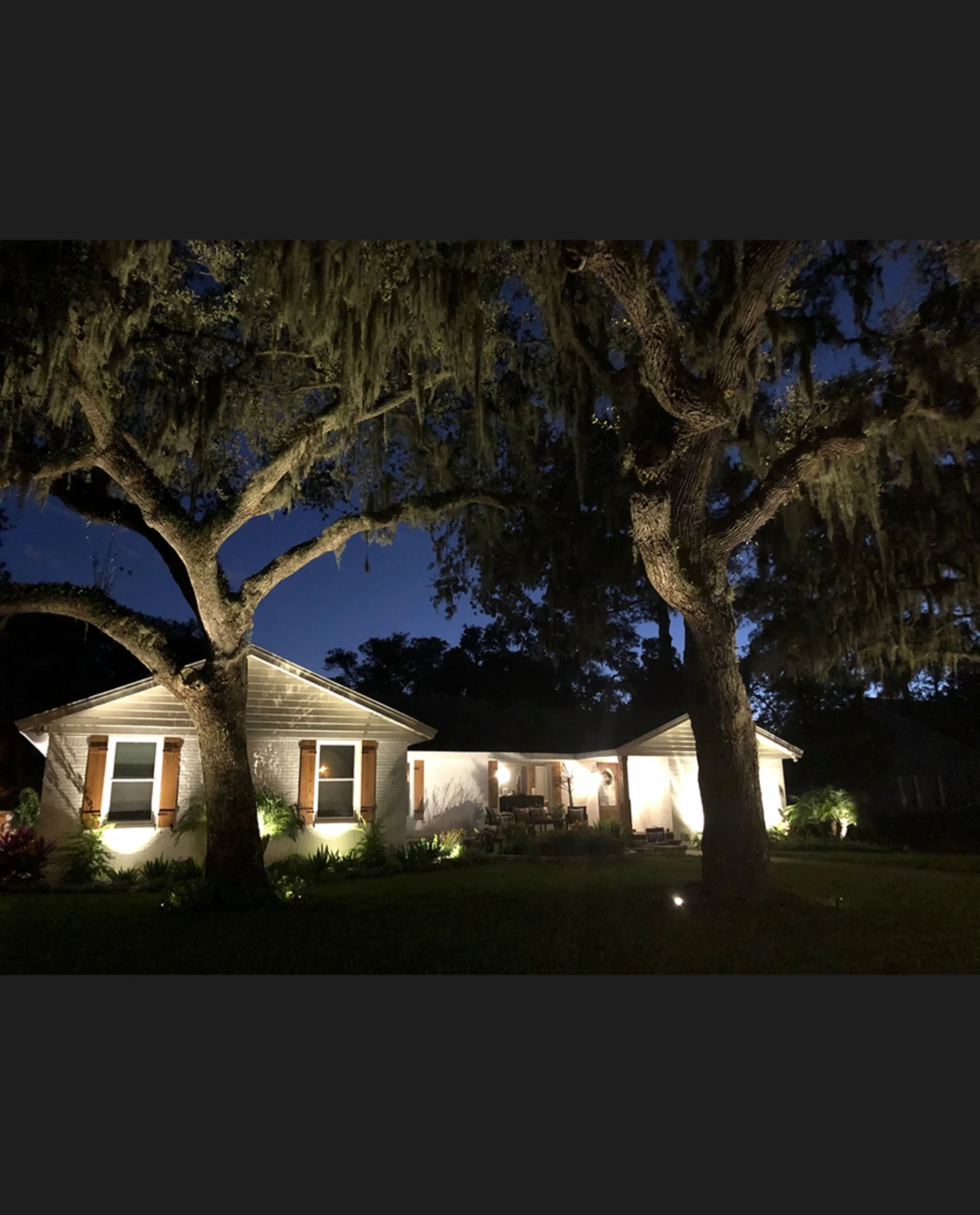 House at night with illuminated trees.